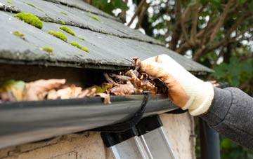 gutter cleaning Lipyeate, Somerset