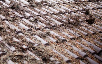 Lipyeate roof cleaning companies