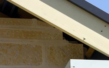 soffit repair Lipyeate