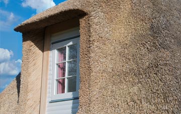 Lipyeate thatch roof disadvantages